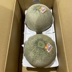 162茨城県産旭村クインシーメロン(赤肉) 秀品5Lサイズ1箱2玉入 - メルカリ
