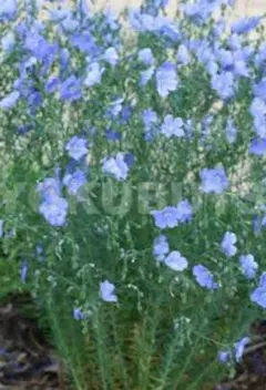 yasuko様 リクエスト 2点 まとめ商品