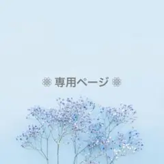 専用☺︎天然石ブレスレット