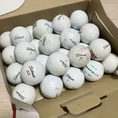 Titleist タイトリスト ロストボール/32個