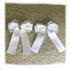 Item thumbnail for item b21c3a3a-f710-401a-a70c-969af52e1679