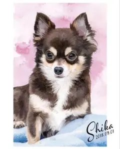 ペット似顔絵作成　ご希望の方はコメントへ　複数匹も◎フレーム付き