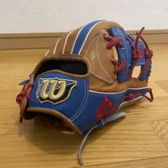 2025年最新】ウィルソン グローブ オーダーの人気アイテム