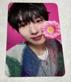 nct wish サクヤ　トレカ　song bird japan ジュエルケース