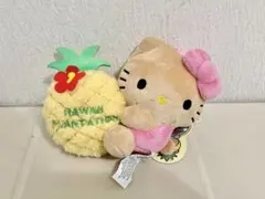 2025年最新】ハワイ キティ パイナップルの人気アイテム - メルカリ