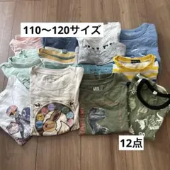 恐竜とポケモンTシャツ　まとめ売り　12点　110㎝　120㎝