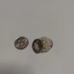 Item thumbnail for item 64313673-77dc-458d-b801-27c1261d4b93