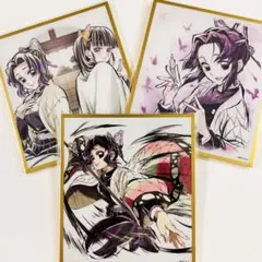 鬼滅の刃 WEBSHOPくじ アクリル色紙 胡蝶しのぶ 栗花落カナヲ