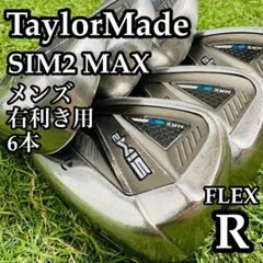 2026年最新】sim2 max アイアンセットの人気アイテム - メルカリ