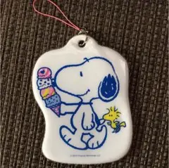 スヌーピー×サーティンワンコラボ パスケース アイス柄