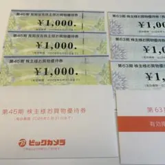 ビックカメラ　コジマ　株主優待券　6000円分