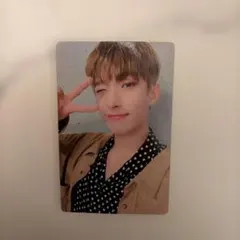 ドギョム　DK トレカ　SEVENTEEN