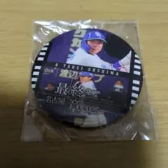 中日ドラゴンズ ドラゴンズガチャ 缶バッジ 大島洋平