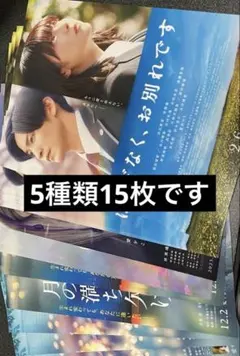 目黒蓮 映画 フライヤー まとめ 15枚