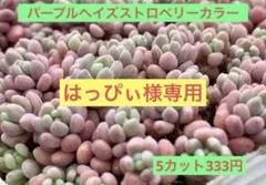 はっぴぃ様 リクエスト 2点 まとめ商品