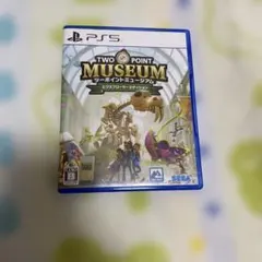 ps5 ツーポイント