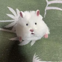 し*☆様 はむにぎり　おもちのサムネイル