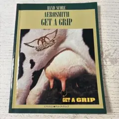 AEROSMITH GET A GRIP バンドスコア