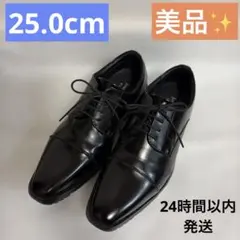 【美品】ジャーナルワークス ドレスシューズ 外羽根 ストレートチップ 黒のサムネイル