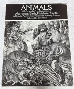 ANIMAL イラスト集