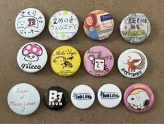 缶バッジ13個セット