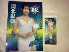 【激レア2点セット】河北彩花 TRE台北会場限定 アクスタ＆クリアファイルのサムネイル