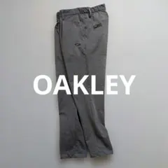 Item thumbnail for item 93cfa509-3aaa-4869-9c9f-1c045d2cfe1e