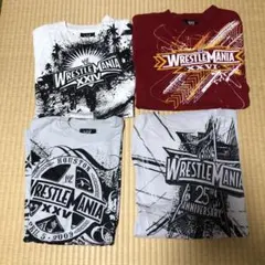 希少 WWE Abema限定ステッカー ローマンレインズ ローマン・レインズ