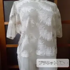 プラネットブルー　シースルーカットソー