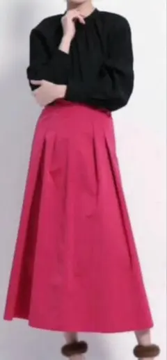 DRESSTERIOR スカート