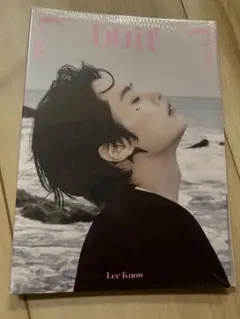 StrayKids DOIT ACCORDION VER. リノ