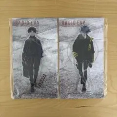 RADIO EVA アクリルスタンド 第4弾 碇シンジ 渚カヲルエヴァンゲリオン