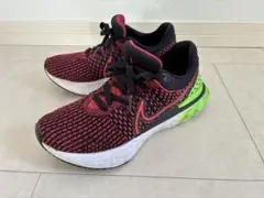 ナイキ リアクト インフィニティ ラン 26.0cm