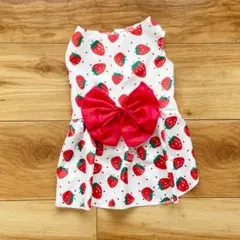 【犬猫服】いちごワンピース　S　赤　ペット　リボン　かわいい　おでかけ　春夏秋