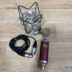 Blue Microphones コンデンサーマイク 本体 ショックマウント付