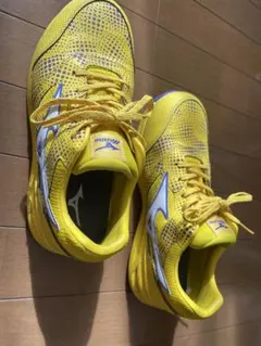 MIZUNO ミズノ メンズ 安全靴 オールマイティLSII11Lワークシューズ