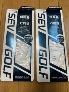 Item thumbnail for item 51386a90-cbb9-4029-9d52-a0e55242fdff