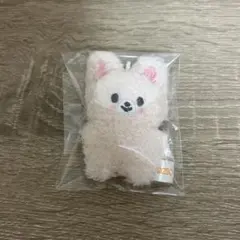 Stray Kids スキズ マイクロ キーリング アイエン フォクシニー