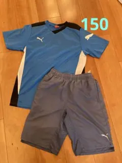 PUMA ブルー Tシャツパンツ セット　150