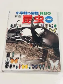 小学校の図鑑NEO ⭐︎昆虫 DVD