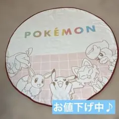 ポケモン 円形ブランケット 2022年製