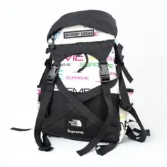 The North Face Supreme ヘビ柄リュック スネークsneak - メルカリ