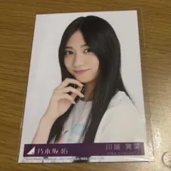 Item thumbnail for item 52425863-9cfc-4a49-9fe0-6bb662f3fe91