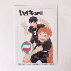 ❣️お値下げしました❣️【非売品】ハイキュー!! ミニ原稿