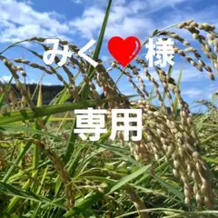みく❤様専用です❣️