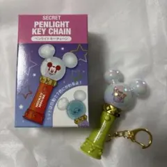 SECRET PENLIGHT KEY CHAIN