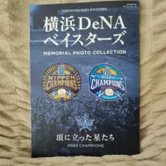 Item thumbnail for item 78562646-4dc5-4b2c-8821-78293fe32409