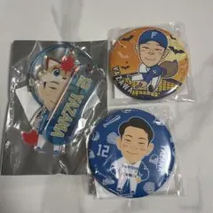 北海道日本ハムファイターズ 矢澤宏太 アクリルキーホルダー、缶バッジセット