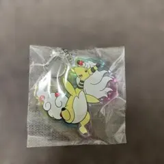 アクリルキーホルダーコレクション メガシンカポケモン メガデンリュウ