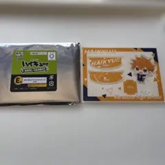 ハイキュー!! タイトーくじ Ｅ賞 日向翔陽